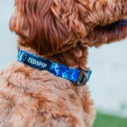 Ocean Waves Collar - Image 2