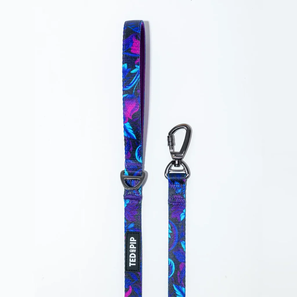 Midnight Floral dog lead in purple floral print
