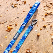 Ocean Waves Lead - Image 2