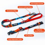 Tropical Bloom matching dog collar and lead set in red floral print