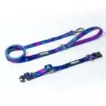 Midnight Floral matching dog collar and lead set in purple floral print