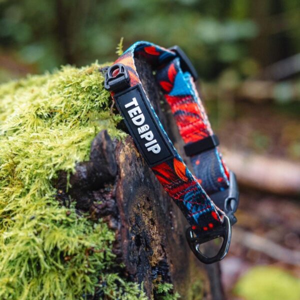 Tropical Bloom matching dog collar and lead set in red floral print