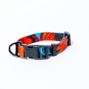 Tropical Bloom matching dog collar and lead set in red floral print