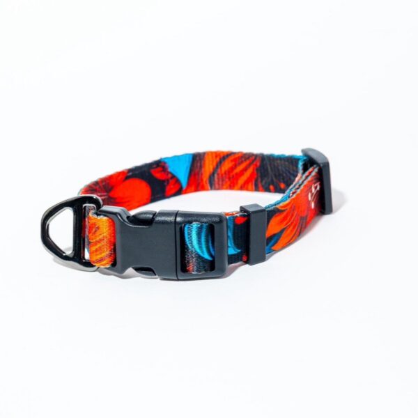 Tropical Bloom matching dog collar and lead set in red floral print